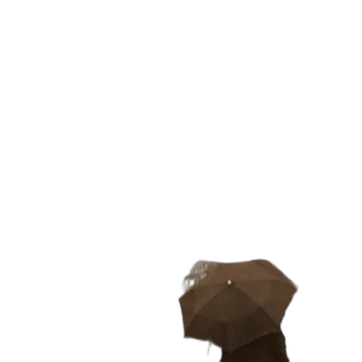 hat, umbrella, mask, staff, 3d render, concept art, pixel art, photorealistic transparent PNG cut-out