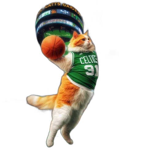 hat, animal, orange, white, cat, wearing, celtics, jersey transparent PNG cut-out