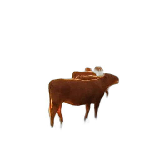 animal, food, furniture, creature, 3d render, concept art, pixel art, photorealistic transparent PNG cut-out