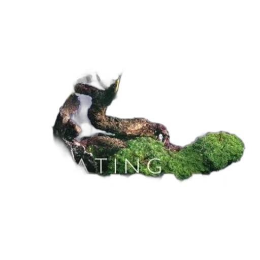 creature, dragon, food, animal, photorealistic, 3d render, concept art, pixel art transparent PNG cut-out