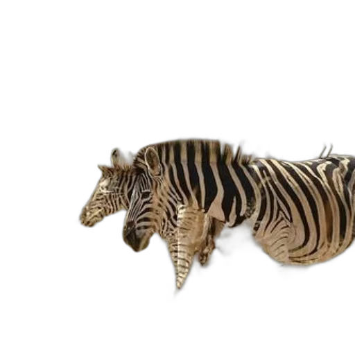 animal, creature, jewelry, dragon, 3d render, photorealistic, concept art, fantasy art transparent PNG cut-out
