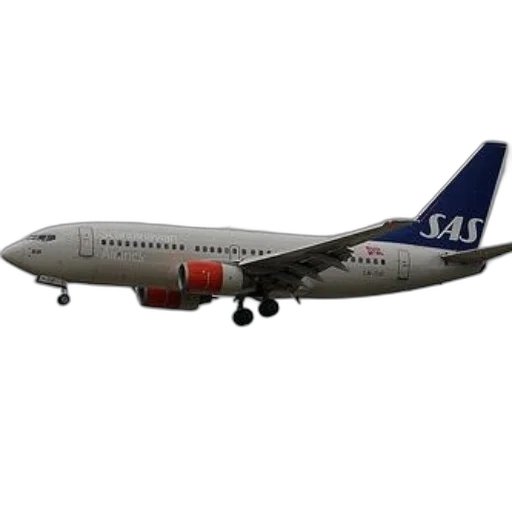 staff, animal, 3d render, photorealistic, sas, airplane, flying, through transparent PNG cut-out