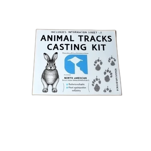 animal, concept art, cardboard, box, label, reads, tracks, casting transparent PNG cut-out
