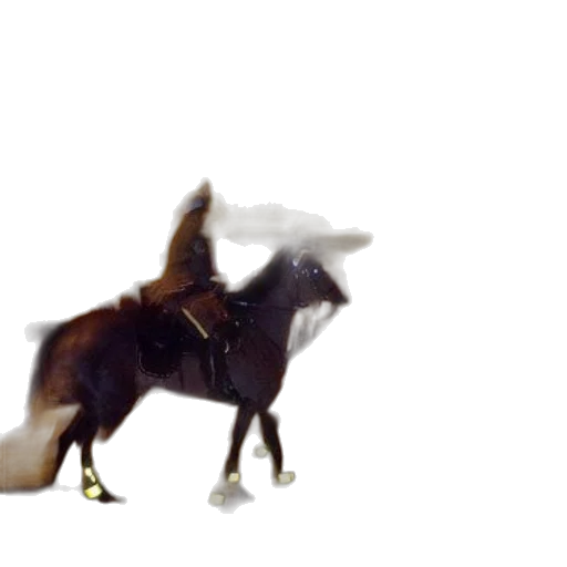 animal, creature, dragon, hat, concept art, 3d render, photorealistic, pixel art transparent PNG cut-out