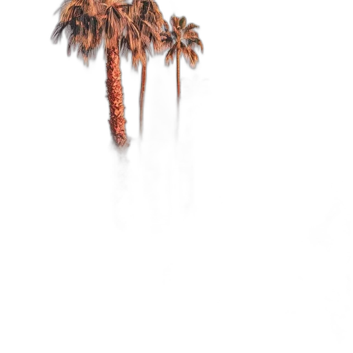 tree, umbrella, hair, jacket, photorealistic, watercolor, concept art, 3d render transparent PNG cut-out