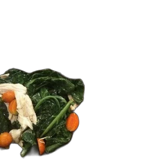 food, dragon, animal, hat, 3d render, green, two, bowls transparent PNG cut-out