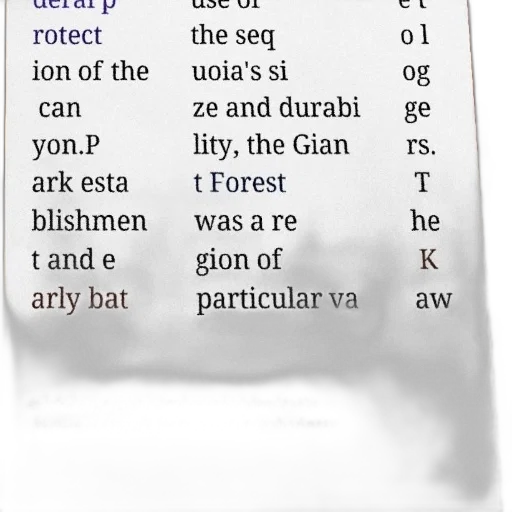 tree, sword, forest, poster, text, about, protection, canyon transparent PNG cut-out