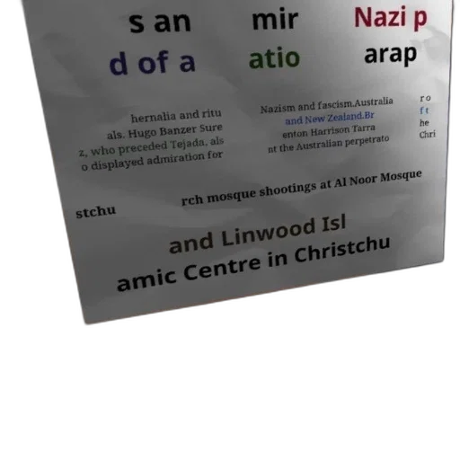 face, poster, text, about, nazi, paraphernalia, rituals, featuring transparent PNG cut-out