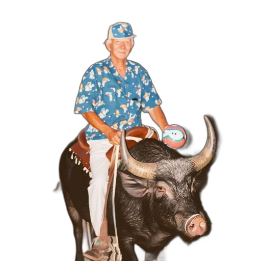 animal, concept art, cartoon, photorealistic, elderly, man, rides, black transparent PNG cut-out