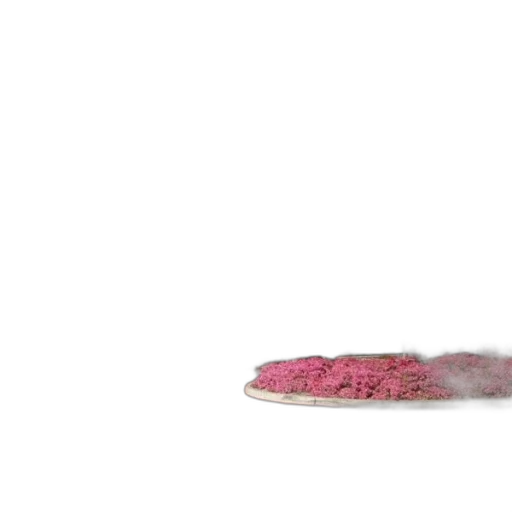 shoes, hair, hat, food, 3d render, photorealistic, fire, red transparent PNG cut-out