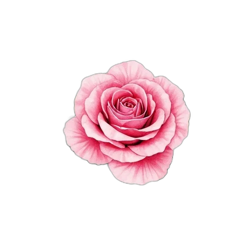 flower, crown, jewelry, face, watercolor, photorealistic, 3d render, pixel art transparent PNG cut-out