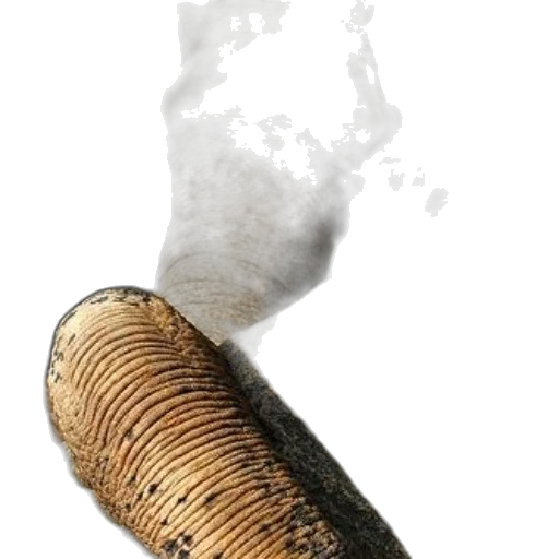 bottle, weapon, hair, staff, photorealistic, 3d render, concept art, watercolor transparent PNG cut-out