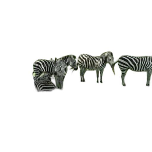 furniture, animal, jewelry, 3d render, concept art, monochrome, four, zebras transparent PNG cut-out
