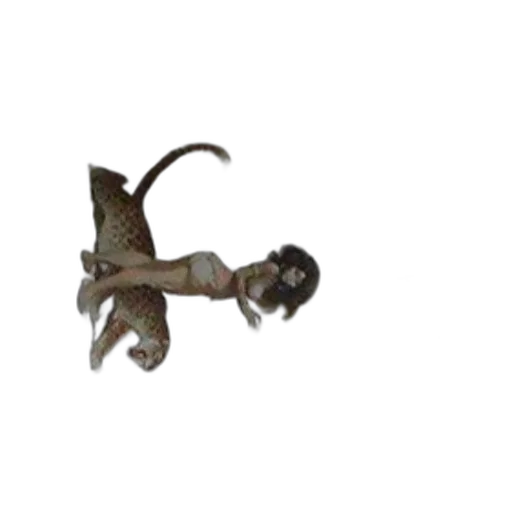 dragon, staff, creature, animal, 3d render, concept art, photorealistic, fantasy art transparent PNG cut-out