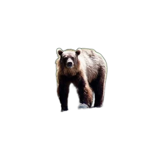 animal, creature, staff, face, pixel art, photorealistic, concept art, 3d render transparent PNG cut-out