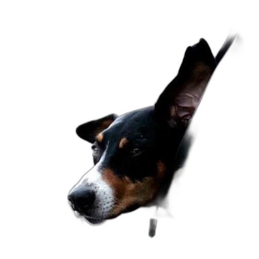 staff, animal, creature, weapon transparent PNG cut-out