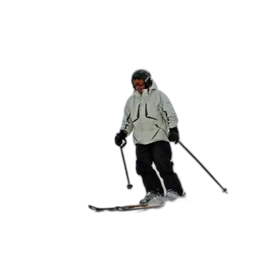 staff, weapon, sword, animal, concept art, 3d render, photorealistic, pixel art transparent PNG cut-out