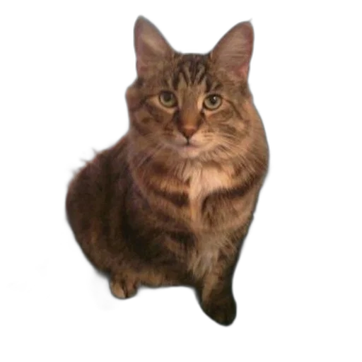 animal, staff, creature, face, photorealistic, 3d render, pixel art, fluffy transparent PNG cut-out
