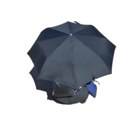 umbrella, hat, staff, jacket, 3d render, photorealistic, concept art, rain transparent PNG cut-out