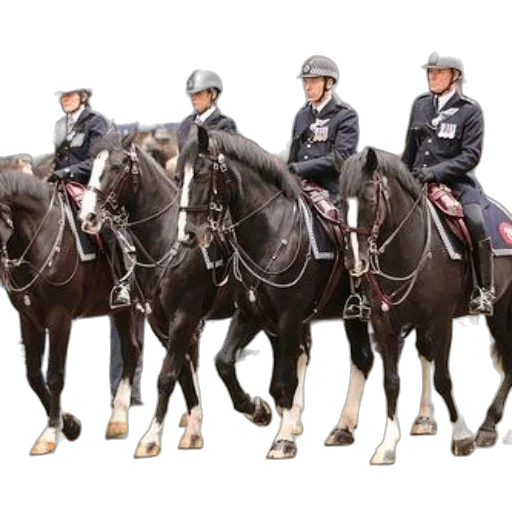 group, mounted, police, officers, uniform, ride, through, city transparent PNG cut-out