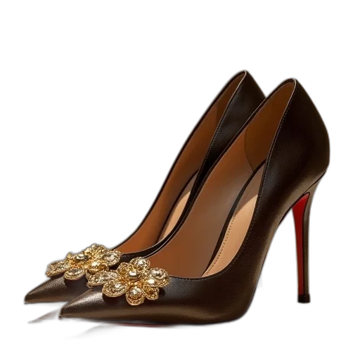 shoes, jewelry, earth tones, women, stil, heel, pumps, closed transparent PNG cut-out
