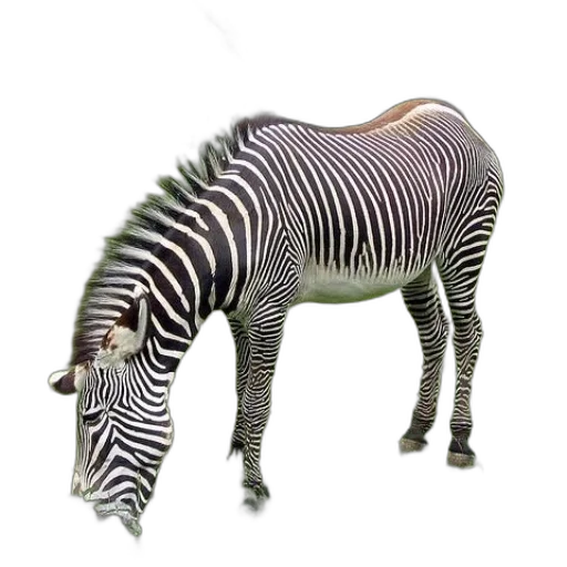 animal, creature, staff, weapon transparent PNG cut-out