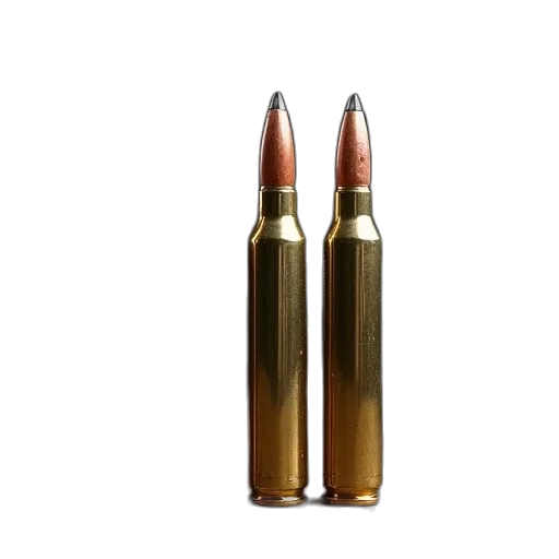 weapon, crown, 3d render, photorealistic, fiocchi, ammunition, shotshot, gauge transparent PNG cut-out