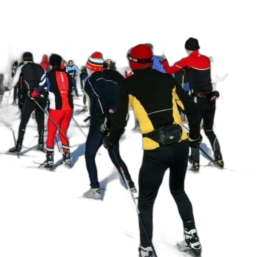 jacket, concept art, group, skiers, skiing, snow transparent PNG cut-out