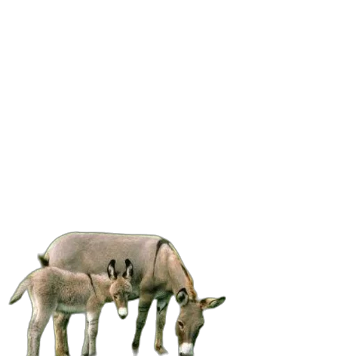 animal, creature, furniture, weapon, concept art, 3d render, photorealistic, pixel art transparent PNG cut-out