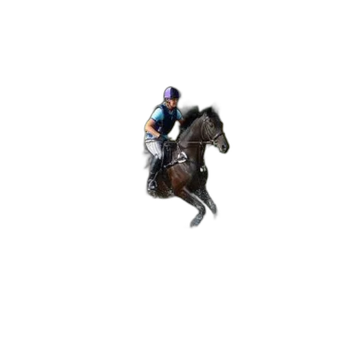 animal, hat, pixel art, rider, dark, horse, gallops, through transparent PNG cut-out