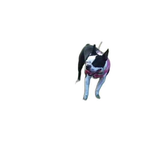 animal, creature, dragon, staff, concept art, pixel art, 3d render, vaporwave transparent PNG cut-out
