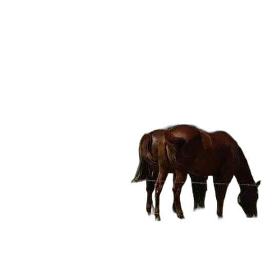 animal, creature, furniture, hair, 3d render, concept art, photorealistic, pixel art transparent PNG cut-out