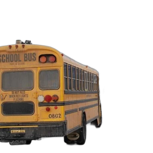 car, 3d render, photorealistic, yellow, school, bus, number, 0802 transparent PNG cut-out