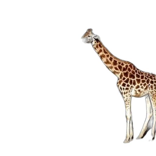 animal, creature, staff, concept art, 3d render, pixel art, watercolor, two transparent PNG cut-out
