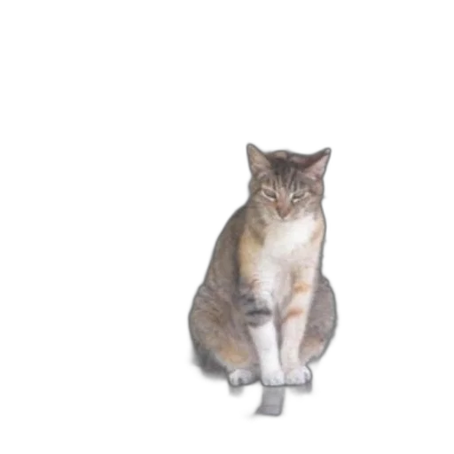 animal, staff, creature, robot transparent PNG cut-out