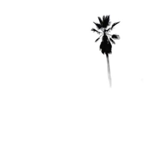 flower, tree, umbrella, staff transparent PNG cut-out