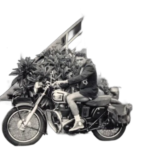 tree, jacket, weapon, car transparent PNG cut-out