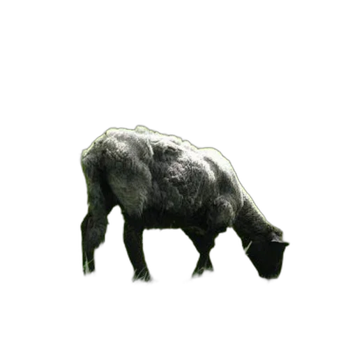 animal, creature, weapon, face, 3d render, concept art, photorealistic, pixel art transparent PNG cut-out
