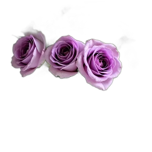 flower, jewelry, crown, staff, 3d render, photorealistic, oil painting, pixel art transparent PNG cut-out