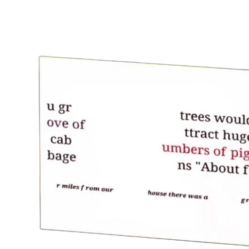 tree, forest, text, excerpt, discussing, attraction, pigs, cabbage transparent PNG cut-out