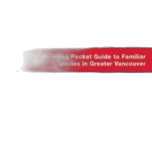 staff, jewelry, jacket, umbrella, folding, pocket, guide, familiar transparent PNG cut-out
