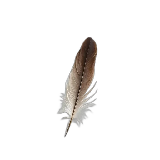 shoes, hat, hair, jewelry, photorealistic, 3d render, concept art, fantasy art transparent PNG cut-out