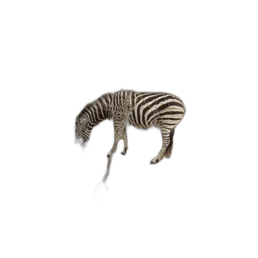 animal, creature, jewelry, hair, 3d render, concept art, photorealistic, monochrome transparent PNG cut-out
