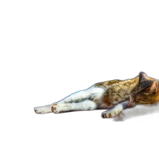 animal, dragon, creature, staff, photorealistic, 3d render, concept art, cat transparent PNG cut-out