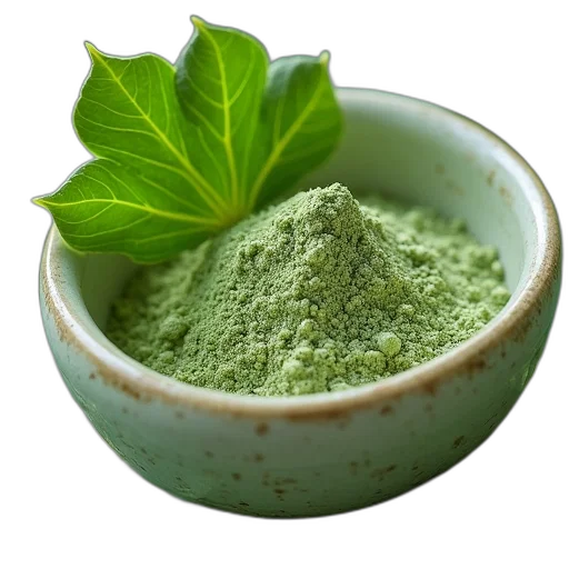 food, green, gingko, leaf, powder transparent PNG cut-out