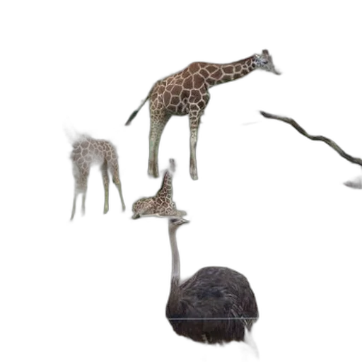 animal, creature, hat, umbrella, concept art, photorealistic, 3d render, fantasy art transparent PNG cut-out
