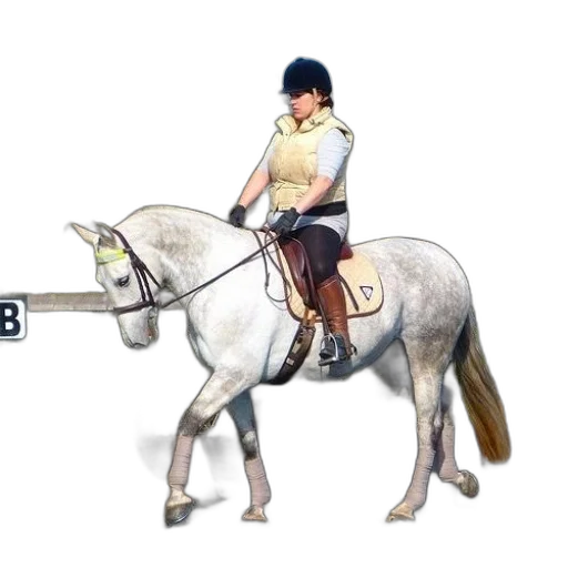 staff, concept art, photorealistic, 3d render, woman, riding, gear, white transparent PNG cut-out