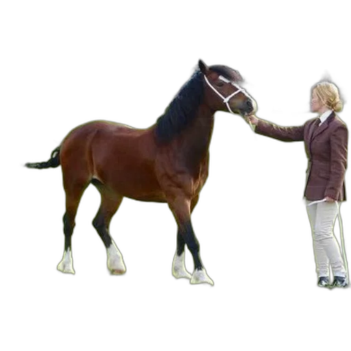 animal, creature, staff, weapon, photorealistic, 3d render, concept art, oil painting transparent PNG cut-out