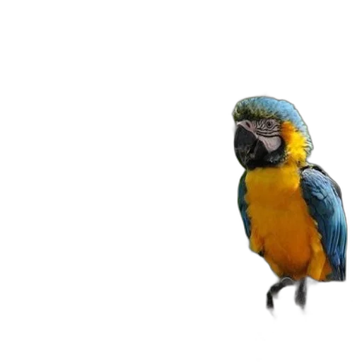 animal, staff, creature, jewelry, photorealistic, 3d render, concept art, oil painting transparent PNG cut-out