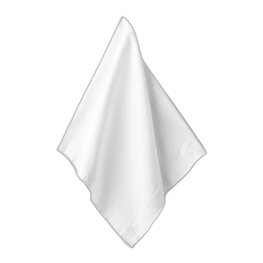 hat, mask, staff, umbrella, photorealistic, 3d render, monochrome, white transparent PNG cut-out